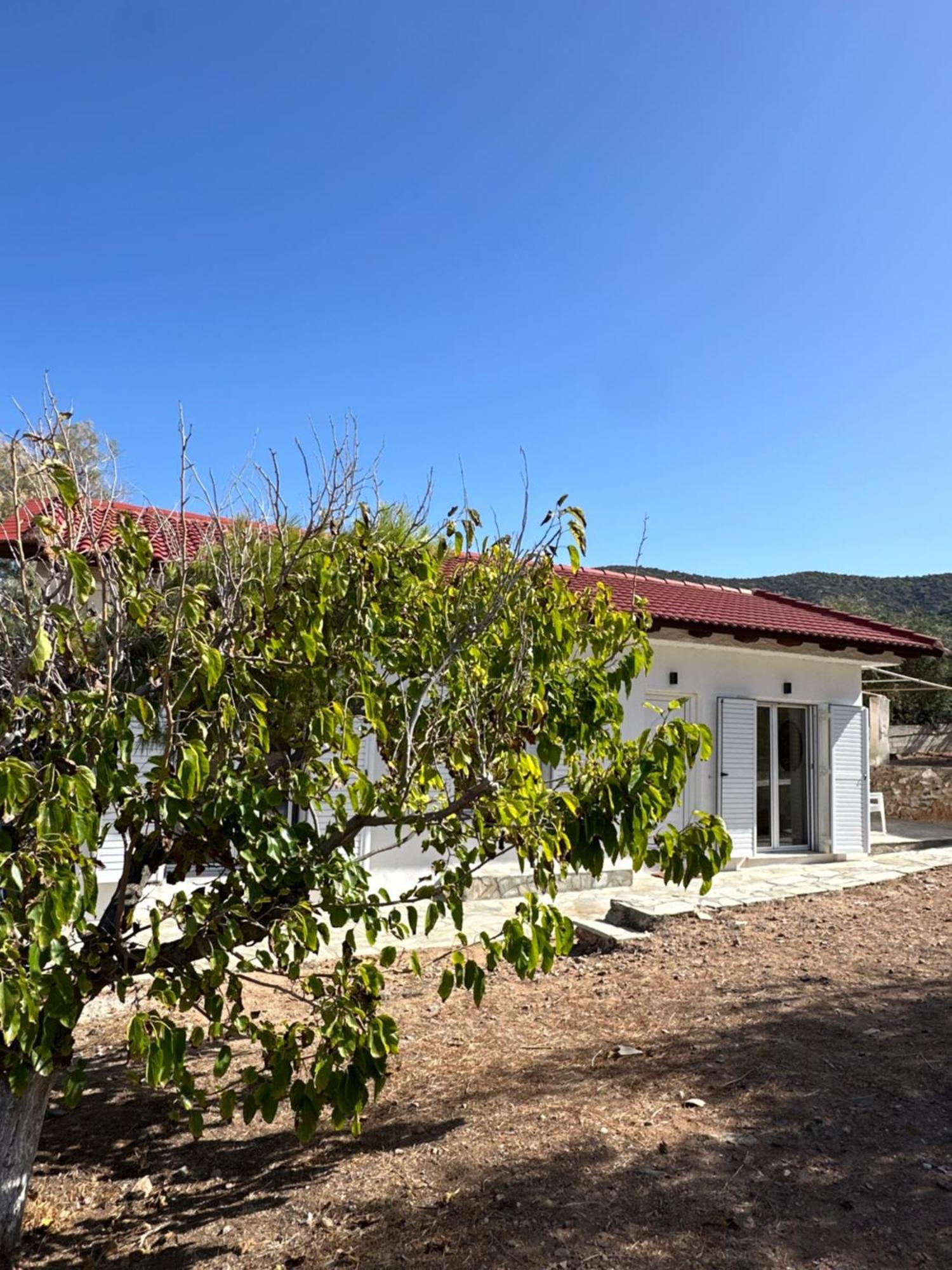 Coast Cottage Porto Rafti-Avlaki Dış mekan fotoğraf